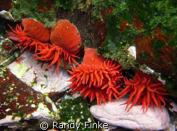 I guess this could be seen as cheating, it's a shot of in... by Randy Finke 